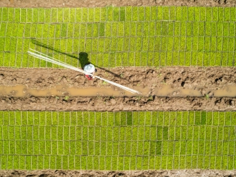 湖南南县：育秧中心春耕忙